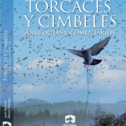 torcaces y cimbeles